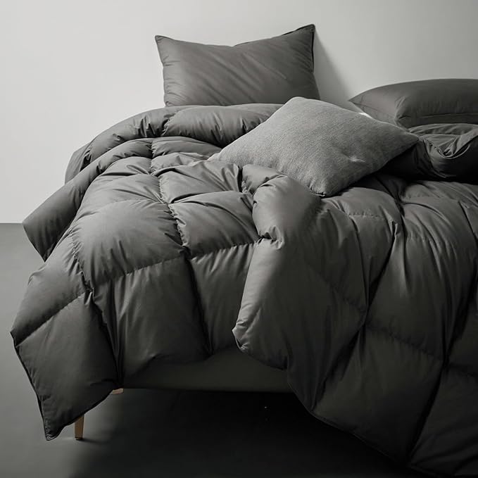 Royoliving Premium Feathers Down Duvet Insert Comforter Queen Size Charcoal Gray Heavyweight Thickened Winter Grey 100% Cotton Cover with Corner Tabs (90x90, 60 oz)