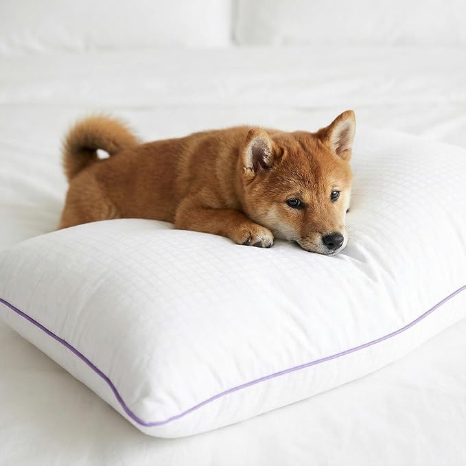 Queen Size Pillow – Bed Pillow for Sleeping, Down Alternative Pillow, Soft Yet Supportive, Maintains Loft, Hotel Quality, Machine Washable