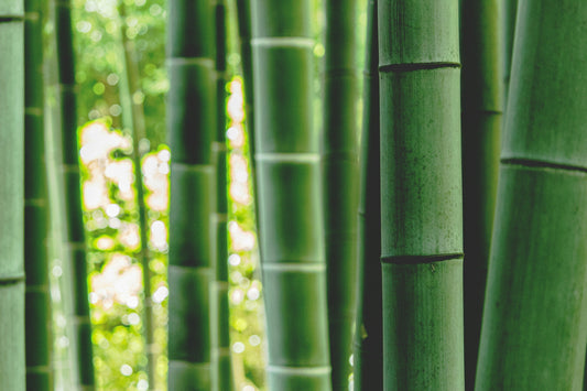 [RESTMENT] Why are bamboo sheets considered "cooler" than luxury cotton?