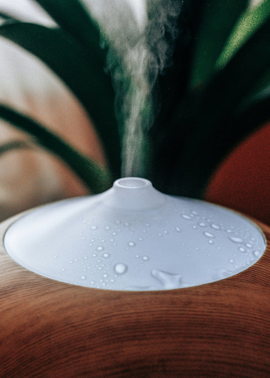 [RESTMENT] The "Humidifier Elevation Lift": How to prevent morning dry throat without creating damp mattress mildew