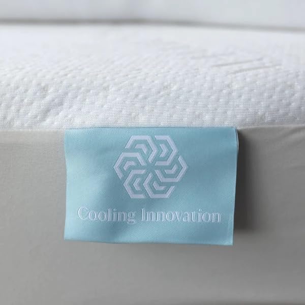 DreamFit 4-Degree Dream Cool Performance Fabric Mattress Protector, Twin Long, White