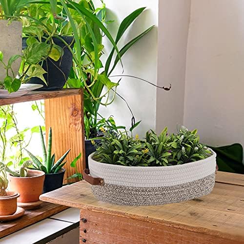 2 Pack Woven Storage Basket for Toilet Tank Top,Farmhouse Home Decor Organizing Basket for Bathroom,Table and Counter 13"x5.9"x4" Apricot Stitching White - Image 6