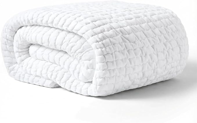 PAULATO BY GA.I.CO Queen Waterproof Mattress Protector – Fitted Sheet Style Mattress Cover, Noiseless & Cooling, Deep Pocket 19”, Washable Polyester (Queen)