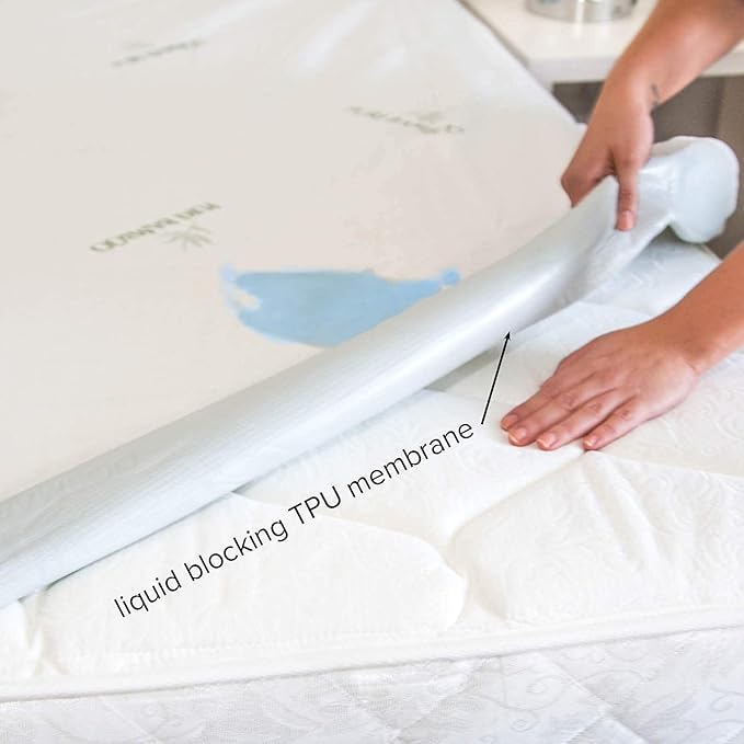 Queen Mattress Protector by PURE BAMBOO, Waterproof - Viscose Derived from Bamboo, Breathable, Noiseless Mattress Cover Protects Against Moisture, Spills, Stains (Queen)