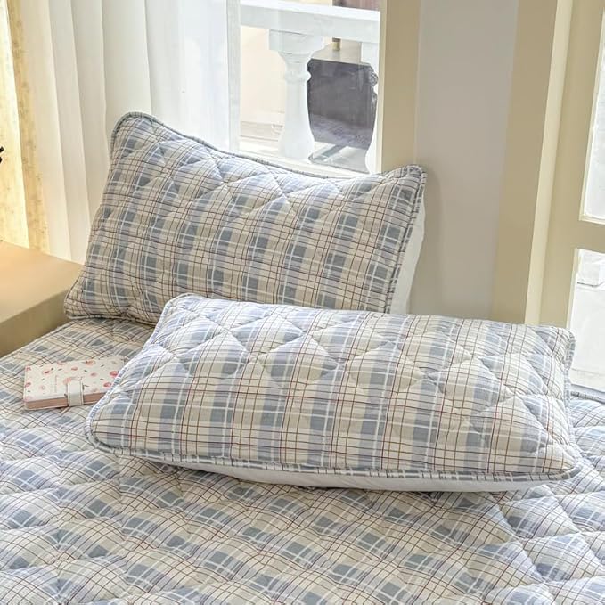 Mattress Protector, Soft Breathable Noiseless Mattress Cover with Stretchable Pockets for 6-11 inches Mattress, Machine Washable (05,2 Pillowcase 19"x29")