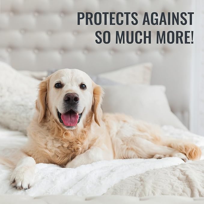 DMI King Size Waterproof Mattress Protector - Fitted, Noiseless Mattress Cover, Soft and Breathable,78" x 80"x 15", White