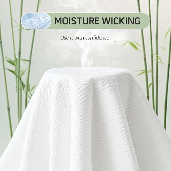 Premium Jacquard 100% Waterproof Queen Mattress Protector, Noiseless, Anti - Slip, Breathable Bed Cover, Rayon from Bambo, Quilted, Mattress Pad Sheet, Deep Pocket 8"-21"