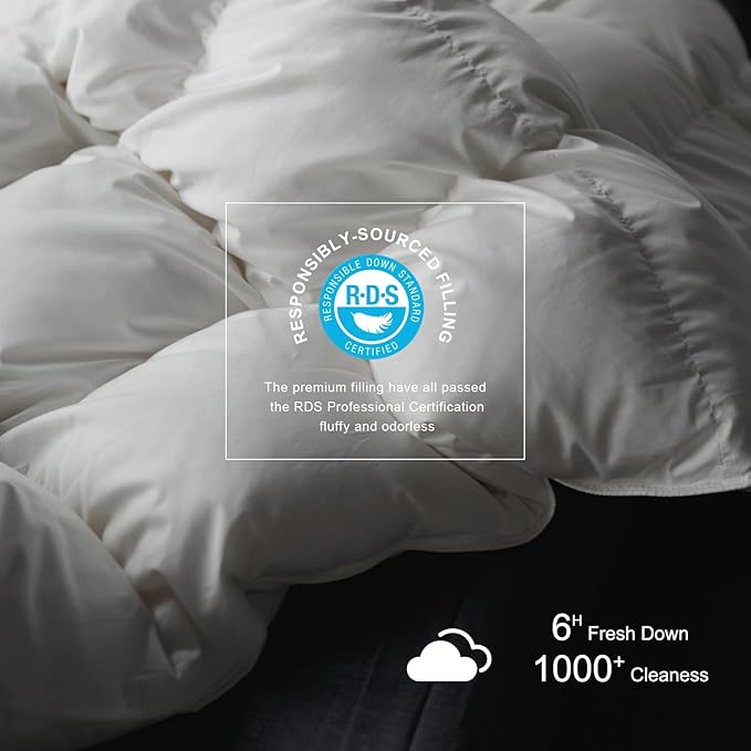 Royoliving Premium Feathers Down Duvet Insert Comforter Queen Size All Season Medium Warmth White 100% Cotton Cover with Corner Tabs (90x90, 50 oz)
