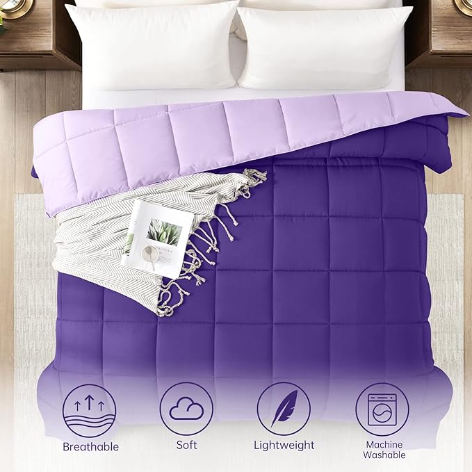 Homelike Moment Twin Comforter Duvet Insert - Purple Down Alternative Bed Comforter Twin Size, Lightweight Bedding Comforters Quilted Soft All Season Reversible Plum/Light Purple