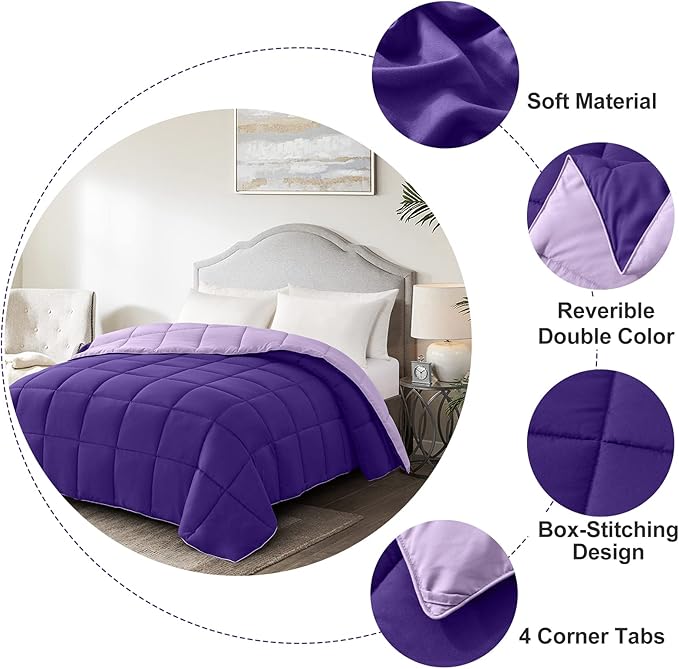 Homelike Moment Comforters Queen Size - Purple Duvet Insert Down Alternative Bed Queen Comforter, Lightweight Bedding Comforter Full Size Quilted Soft All Season Reversible Plum/Light Purple