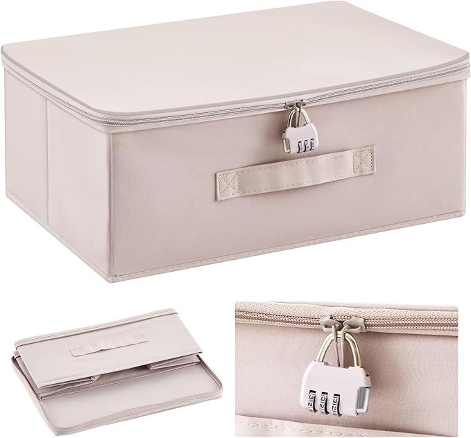 Briwooody Discreet Lockable Toy Bag Storage Organizer Toy Bag Storage Bins Case with Zipper Lid for Women and Men Clothes Container(Light Purple,15 x 10 x 6.3 Inch) by Briwooody