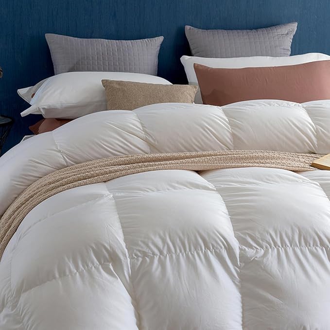 Royoliving Premium Feathers Down Duvet Insert Comforter Queen Size Heavyweight Thickened Winter White 100% Cotton Cover with Corner Tabs (90x90, 60 oz)
