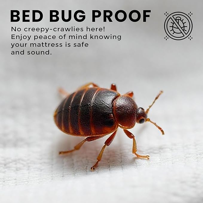 Utopia Bedding Premium Waterproof Bed Bug Mattress Cover, Twin Zippered Mattress Protector, 8 Inches Deep, Dust Mite Proof 6-Sided Mattress Encasement for Bed