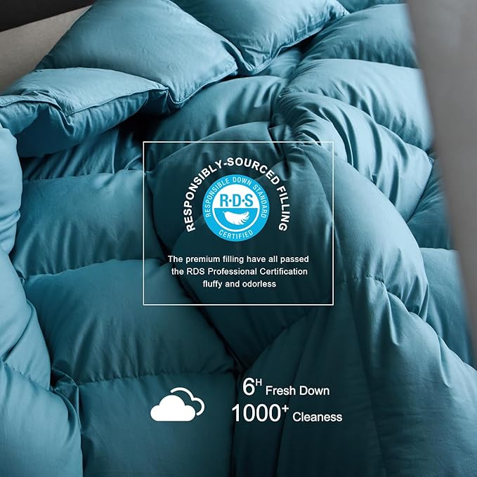 Royoliving Premium Feathers Down Duvet Insert Comforter Twin Size Heavyweight Thickened Winter Turquoise 100% Cotton Cover with Corner Tabs (68x90, 45 oz)