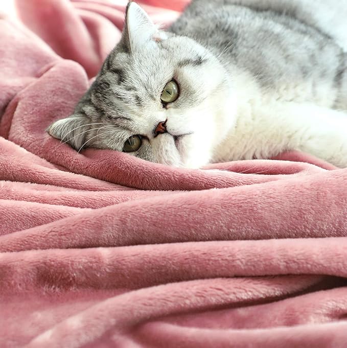 TASTHROW Large Flannel Fleece Throw Blanket, 50×70 Inch - Cozy Lightweight Thick Blanket - All Seasons Suitable for Women, Men and Kids (Two Pack, Pink)