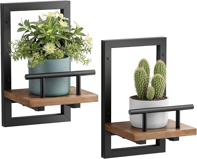 Sbosbo Floating Shelves for Wall, Plant Shelf Indoor, Wall Planters for Indoor Floating Plant Shelves for Bedroom, Living Room, Kitchen, Office, Bathroom Decor (2 Pack) by SBOSBO