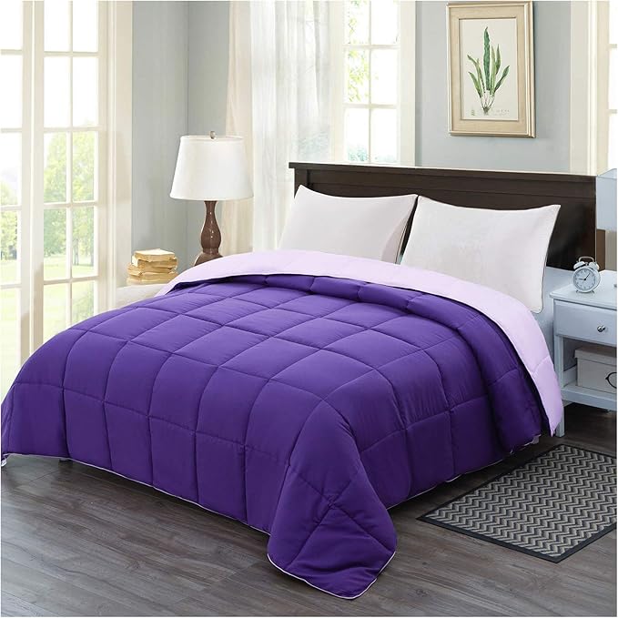 Homelike Moment Twin Comforter Duvet Insert - Purple Down Alternative Bed Comforter Twin Size, Lightweight Bedding Comforters Quilted Soft All Season Reversible Plum/Light Purple
