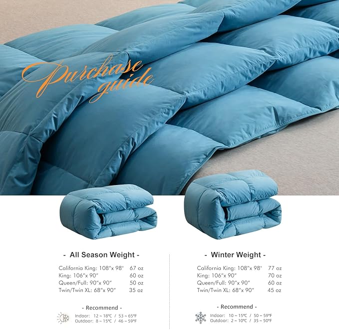 Royoliving Premium Feathers Down Duvet Insert Comforter Twin Size Heavyweight Thickened Winter Turquoise 100% Cotton Cover with Corner Tabs (68x90, 45 oz)