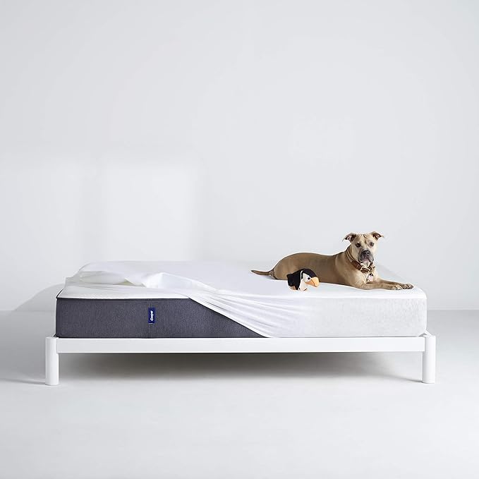 Casper Sleep Waterproof Mattress Protector, Twin, White
