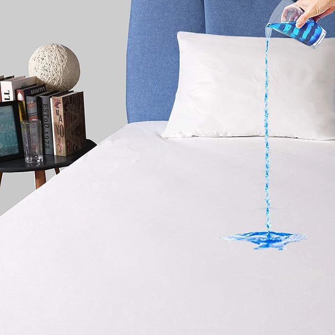 Safe and Sound Waterproof Mattress Protector, Queen Size Premium Mattress Cover, Noiseless Breathable Soft, Fitted Deep Pocket 8-21 Inch Bed Cover, Machine Washable