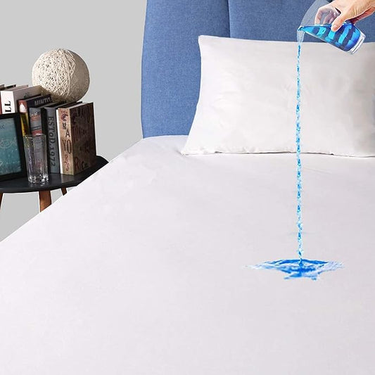 Safe and Sound Waterproof Mattress Protector, Queen Size Premium Mattress Cover, Noiseless Breathable Soft, Fitted Deep Pocket 8-21 Inch Bed Cover, Machine Washable