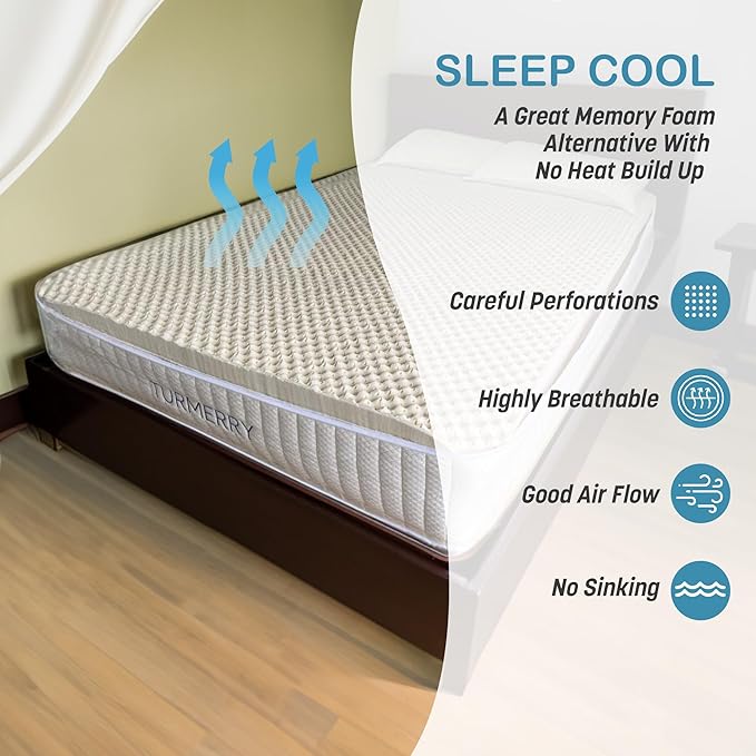 Turmerry 2.4" Green Natural Organic Egg Crate Latex Mattress Topper Queen Size - Soft Plush Pillow Top - GOLS Certified Convoluted Foam - Pressure Point Back Pain Relief Sleep Cool Bed Pad