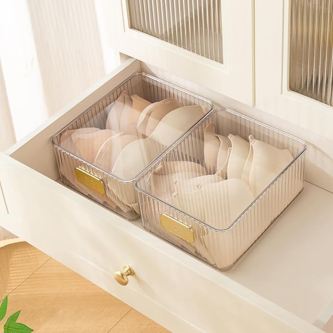 Clear Bra Organizer, Plastic Underwear Drawer Organizer with Lid for Closet, Undergarment Storage Ideal for Socks, Bras, Ties, and Scarves - Image 3