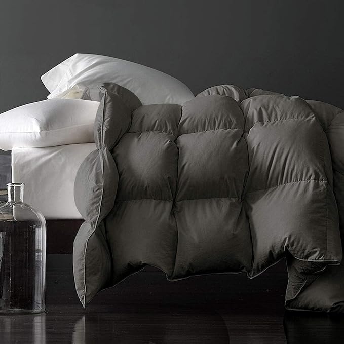 Royoliving Premium Feathers Down Duvet Insert Comforter Queen Size Charcoal Gray Heavyweight Thickened Winter Grey 100% Cotton Cover with Corner Tabs (90x90, 60 oz)