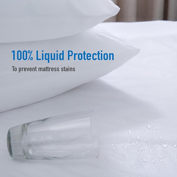 Home Details 2 Pack Full Size Premium Zippered Mattress Protector | Cooling | Cozy | Comfortable | PVC | Bed Bug Prevention | Waterproof | Hypoallergenic | Easy to Clean | Zipper | Encasement | White