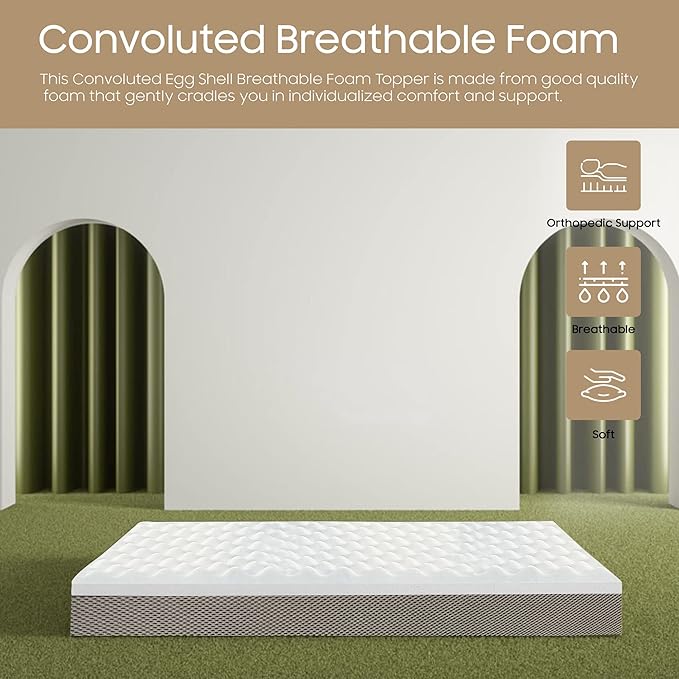 Zayton 2-inch Convoluted Foam Mattress Topper with Egg Shell Design | Breathable, Soft, and Comfortable Bed Toppers for Back Pain, Orthopedic Support for Better Sleep, King, Green