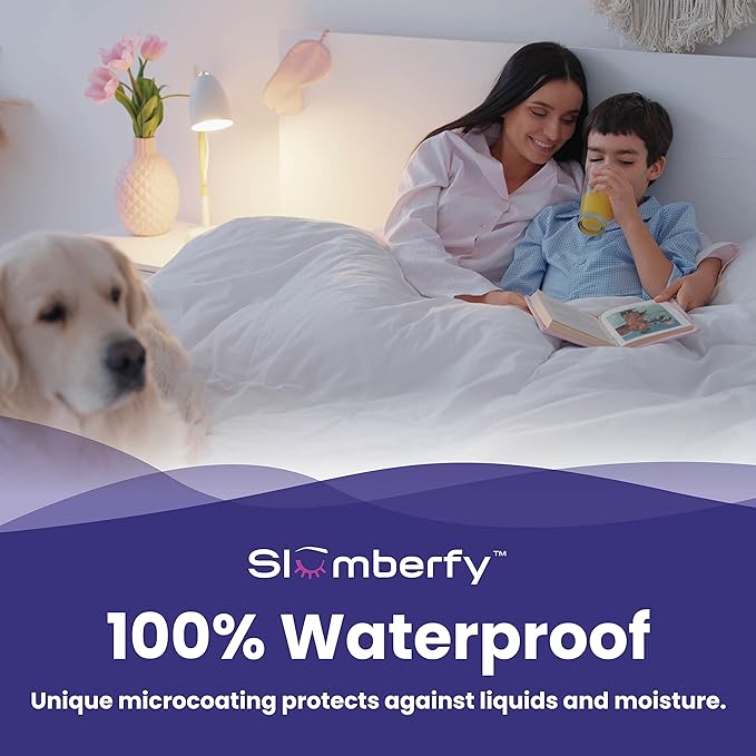 Queen Size Waterproof Bamboo Mattress Encasement by Slumberfy - Premium Skin-Safe Mattress Protector with 360° EZ Zipper, Lab-Tested Bed Bug, Zippered Encasement (60x80 in)
