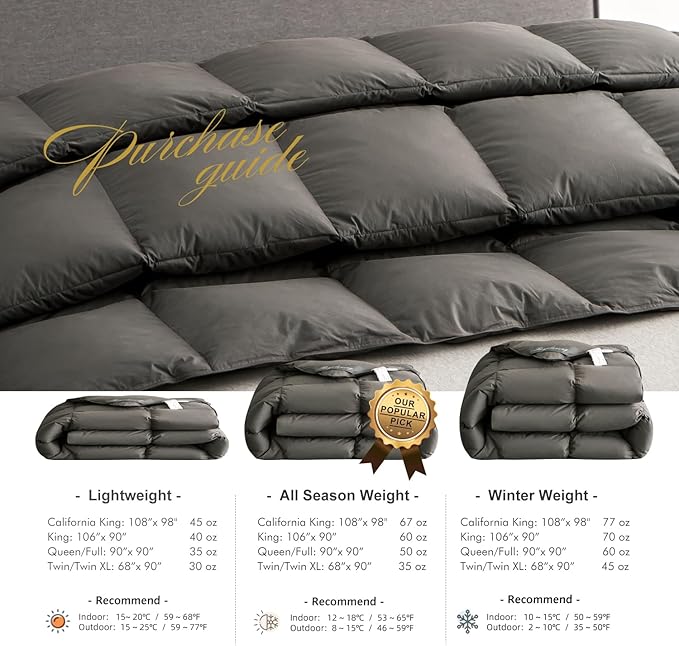 Royoliving Premium Feathers Down Duvet Insert Comforter Queen Size Charcoal Gray All Season Medium Warmth Grey 100% Cotton Cover with Corner Tabs (90x90, 50 oz)