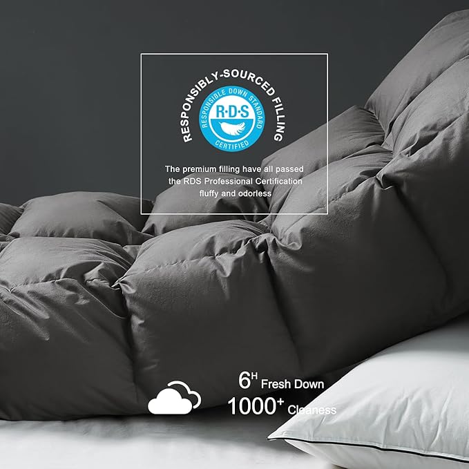 Royoliving Premium Feathers Down Duvet Insert Comforter Queen Size Charcoal Gray Heavyweight Thickened Winter Grey 100% Cotton Cover with Corner Tabs (90x90, 60 oz)
