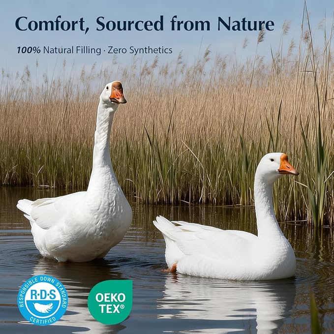 Pacific Coast Premium Goose Down Fiber Comforter King Size, 420TC 100% Australian Cotton Shell, All-Season Comforter with Hidden Baffle Box & Double-Stitched Piping (106"x90")