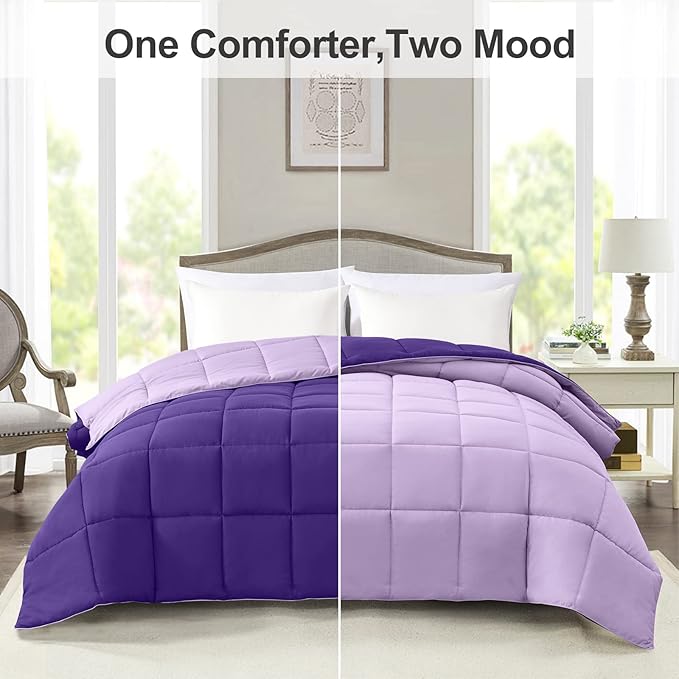 Homelike Moment California King Comforter - Purple Duvet Insert Down Alternative Bed Comforter, Lightweight Bedding Comforters Cal King Size Quilted Soft All Season Reversible Plum/Light Purple