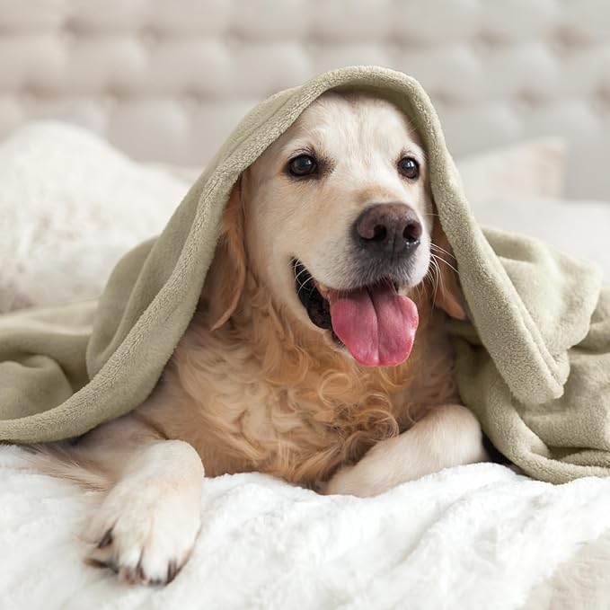 BEDELITE Fleece Blanket Twin Size Oatmeal Throw Blankets for Couch & Bed, Luxury Plush Cozy Fuzzy Blanket 60x80 inches, Super Soft Warm Lightweight Throw Blanket for Travel Camping