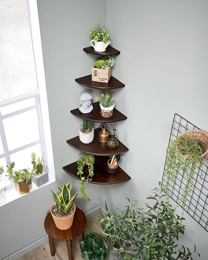 Corner Shelf, Solid Oak Wood Floating Corner Shelf Wall Mount Round End Floating Speaker Shelves with Wire Hole for Small Plant Photo Frame for Bedroom Kitchen, Living Room (Walnut, 7in) - Image 2