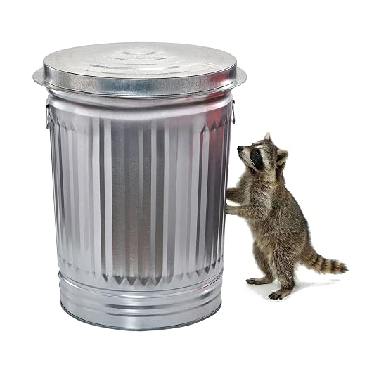 31 Gallon Galvanized Steel Trash Can with Lid - Heavy Duty Outdoor Metal Garbage Bin for Pet Food, Seed & Charcoal Storage - Rodent Proof, Weather Resistant & Rust Free by Unknown