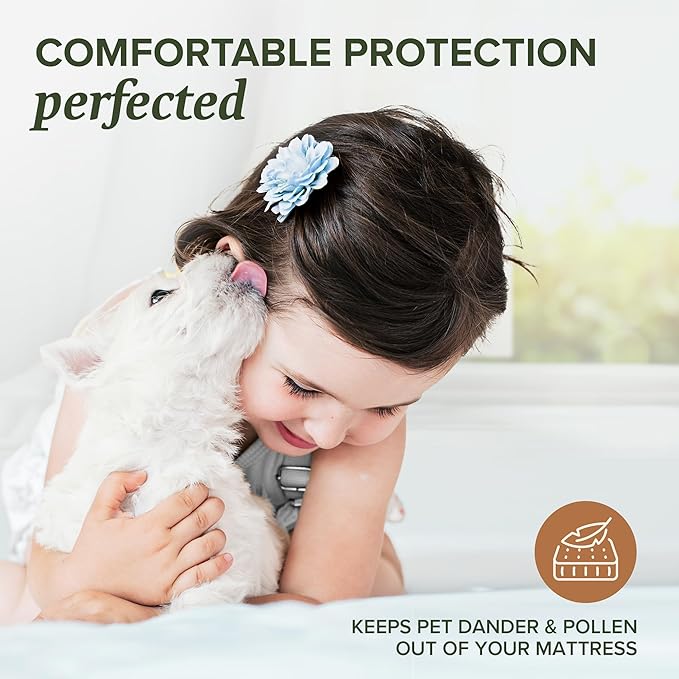 Beckham Hotel Collection Mattress Protector — Hotel-Grade Viscose Blend, Silent Waterproof Protection That Preserves Mattress Feel, Queen