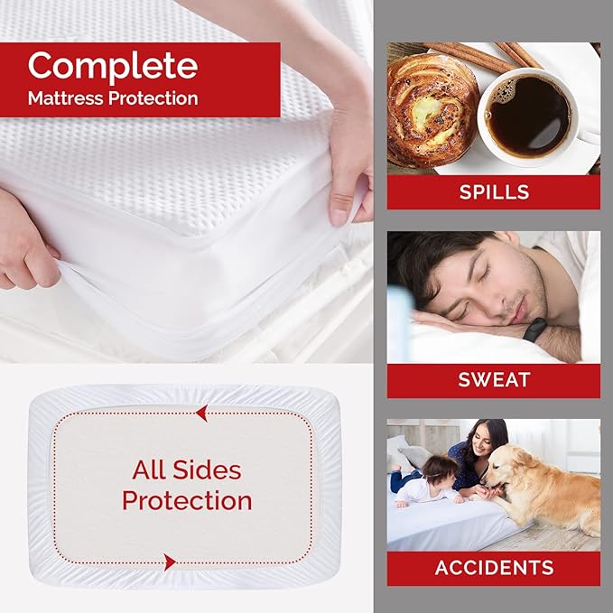 Swiss Comforts 100% Waterproof Mattress Protector Queen Size - Tencel Mattress Cover | Naturally Cooling, Breathable & Noiseless | Soft Fitted Bed Sheet (Tencel, Queen 60"x80")