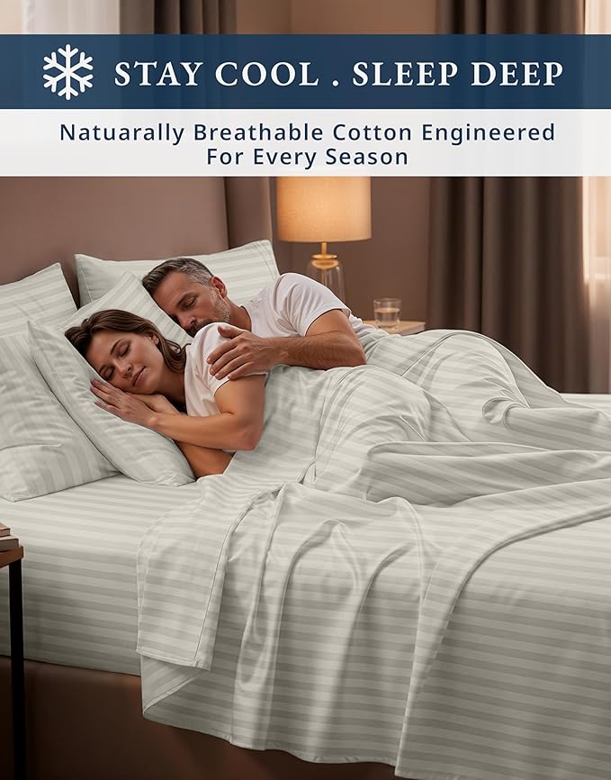 LANE LINEN Striped Sheets Set - 100% Egyptian Cotton 4 Piece Bed for Queen Size Hotel Bedding & Pillowcases 16" Deep Pocket (Fits Upto 17" Mattress) Silver
