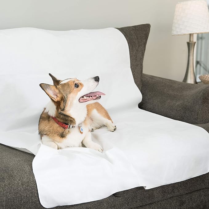 DMI Bed Pad Waterproof Sheet to be Used as a Mattress Protector, Pee Pad, Bed Liner, Incontinence Pad, Furniture Cover or Seat Protector, Not Reversible, Flat Fit, Machine Washable, 36 x 54