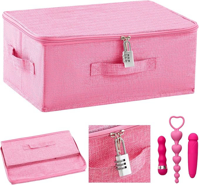 Briwooody Discreet Lockable Toy Bag Storage Organizer Toy Bag Storage Bins Case with Zipper Lid for Women and Men Clothes Container(Pink,15 x 10 x 6.3 Inch) by Briwooody