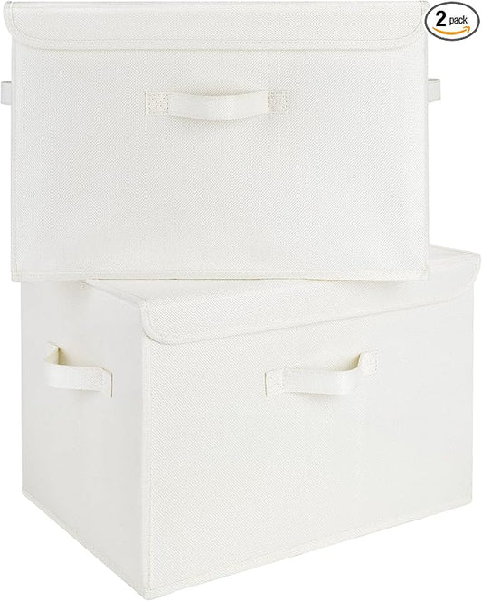 GRANNY SAYS Storage Boxes with Lids, Large Storage Bins with Lids, Decorative Box, Shelves Baskets, Clothes Storage and Organization, 2-Pack by GRANNYSAYS