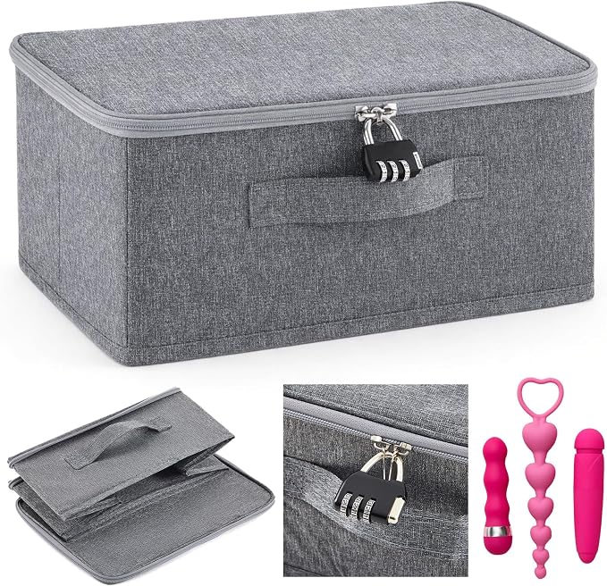 Briwooody Discreet Lockable Toy Bag Storage Organizer Toy Bag Storage Bins Case with Zipper Lid for Women and Men Clothes Container (Gray,11.8 x 7.9 x 5.5 Inch) by Briwooody