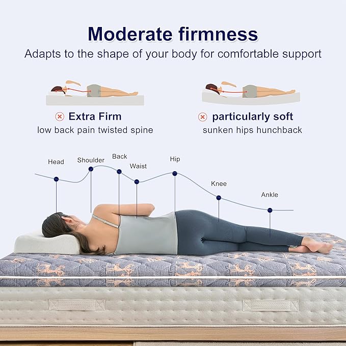 Premium Foam Queen Mattress Topper -Thick 9-Layer Modern Comfort Topper, 60-mil Foam-Back Pain Relief & Comfort Support,Breathable & Hypoallergenic
