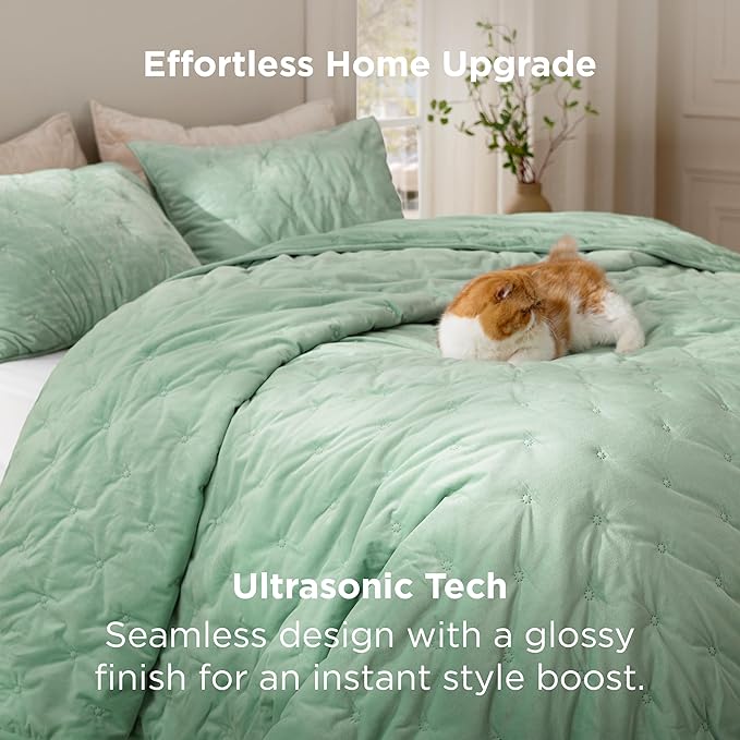 Bedsure Velvet Fleece Comforter Set Queen, Sage Green Lightweight Quilted Bedding Set, Soft Warm Blanket for All Season, 3 Pieces, 1 Comforter (90" x 90") and 2 Pillow Shams (20" x 26")