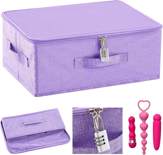 Briwooody Discreet Lockable Toy Bag Storage Organizer Toy Bag Storage Bins Case with Zipper Lid for Women and Men Clothes Container(Purple,15 x 10 x 6.3 Inch) by Briwooody