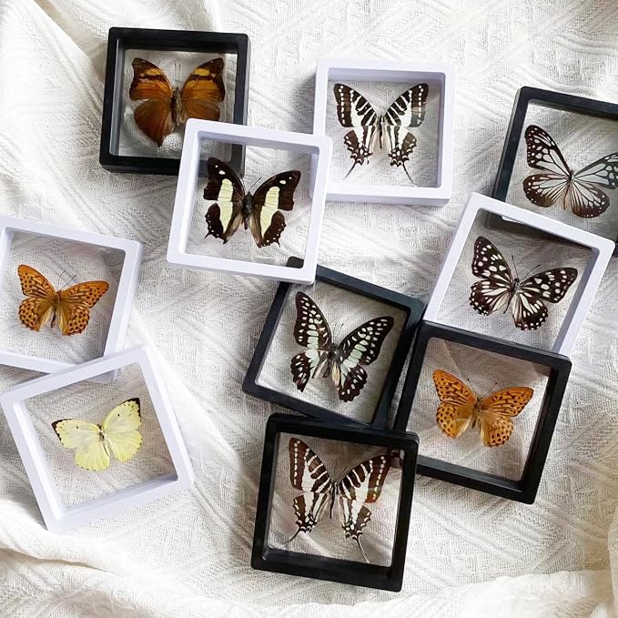 12PCS 3D Floating Frame Display Stand, Jewelry Box, Gift Box, Ornament Organizer, Small Travel Jewelry Box, PE Film Anti-Oxidation, Suspended Display Box Stackable (Black, 2.75*2.75) - Image 4