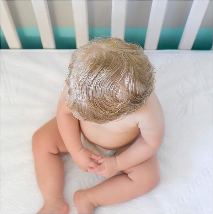 Bamboo Rayon Baby Crib Mattress Protector - Waterproof Breathable Cooling Fitted Mattress Cover 28x52 inches (2 Pack)